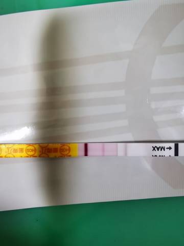 journal_insert_pic_1685378351