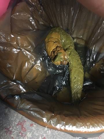 journal_insert_pic_1679245123