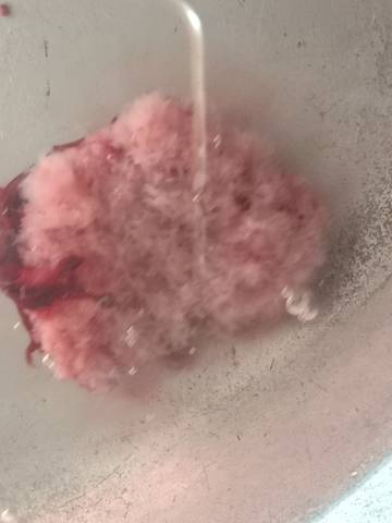 journal_insert_pic_1683667964