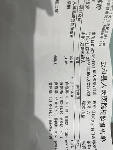 journal_insert_pic_1680974327