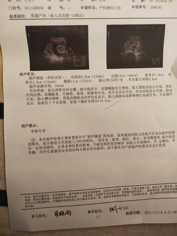 journal_insert_pic_1682484532