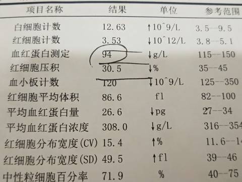 journal_insert_pic_1676904035