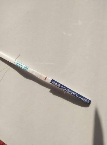 journal_insert_pic_1684048789