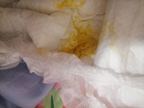 journal_insert_pic_1719795850