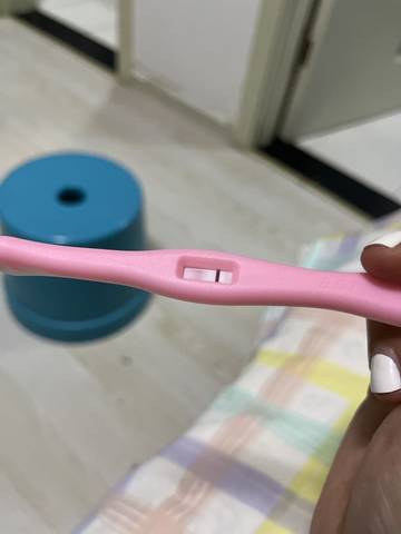 journal_insert_pic_1683212132
