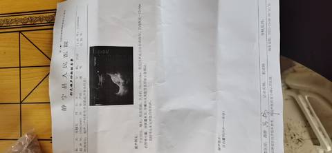 journal_insert_pic_1676007888
