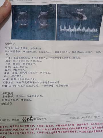 journal_insert_pic_1689584149