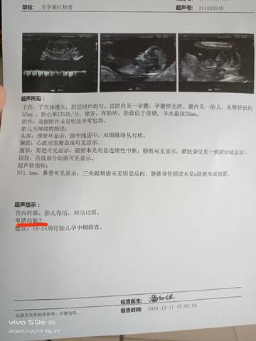journal_insert_pic_1681634939