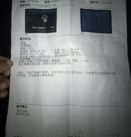 journal_insert_pic_1678749543