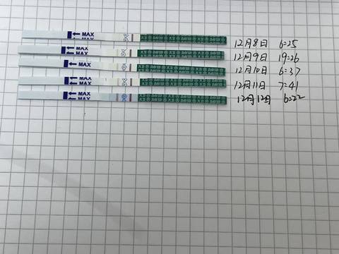 journal_insert_pic_1678327975