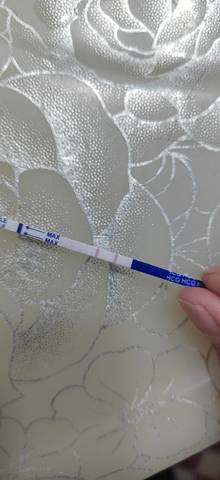 journal_insert_pic_1686608386