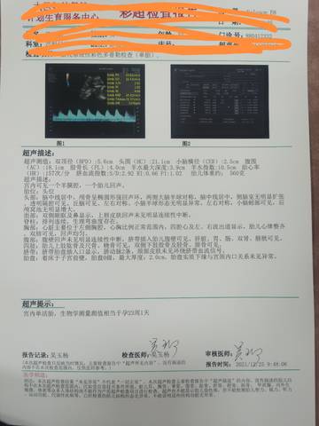 journal_insert_pic_1686307894