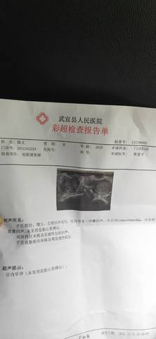 journal_insert_pic_1679204743