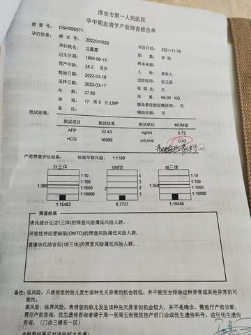 journal_insert_pic_1740963812