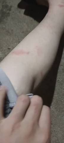 journal_insert_pic_1720019428