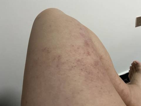 journal_insert_pic_1688081028