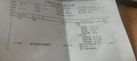 journal_insert_pic_1679272455