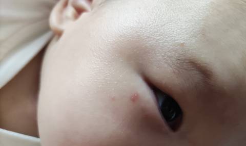 journal_insert_pic_1673578774