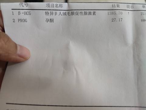 journal_insert_pic_1679898818