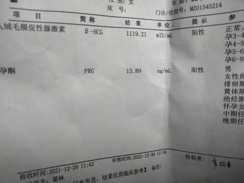 journal_insert_pic_1688448509