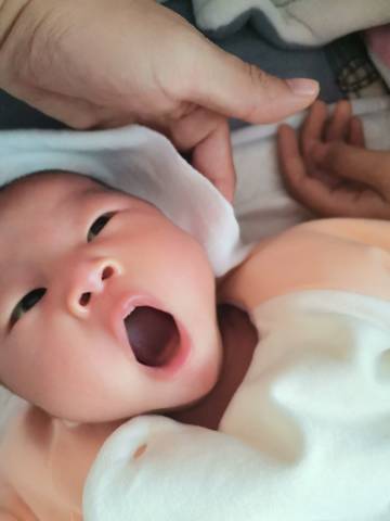 journal_insert_pic_1687217847