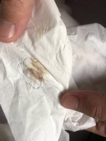 journal_insert_pic_1674195335