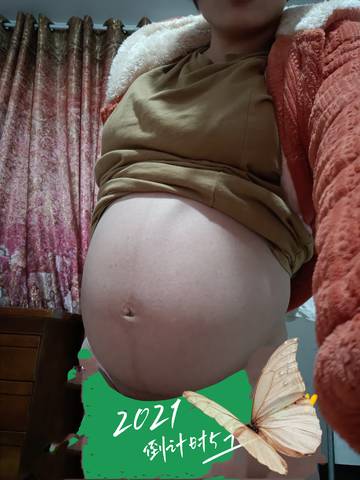 journal_insert_pic_1685838035