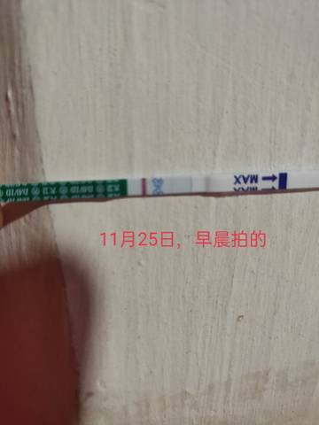 journal_insert_pic_1685698600