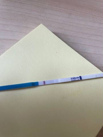 journal_insert_pic_1684125965