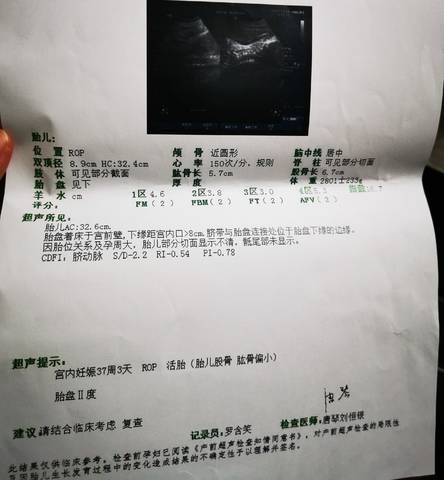 journal_insert_pic_1682209244