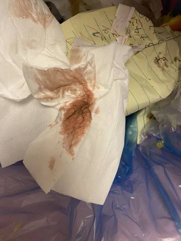 journal_insert_pic_1679410478