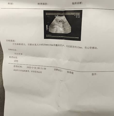 journal_insert_pic_1719812999