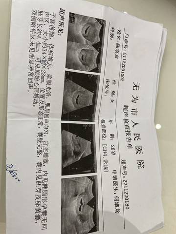 journal_insert_pic_1685159510