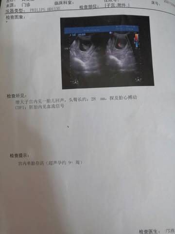 journal_insert_pic_1689642788