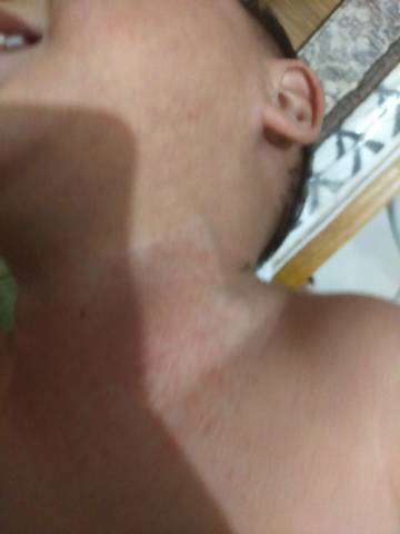 journal_insert_pic_1681743275