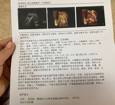 journal_insert_pic_1684234597