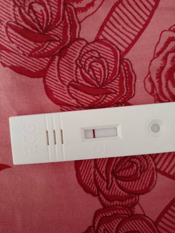 journal_insert_pic_1689364636