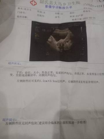 journal_insert_pic_1741096235