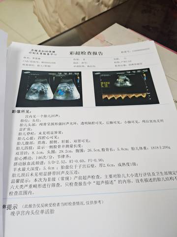 journal_insert_pic_1688851732