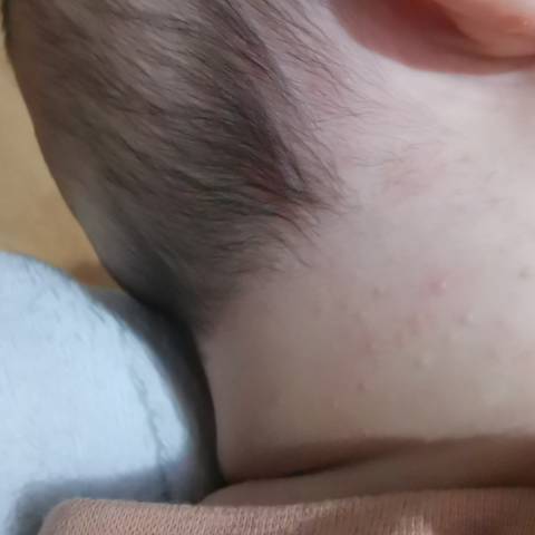 journal_insert_pic_1686737131