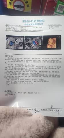 journal_insert_pic_1690483962