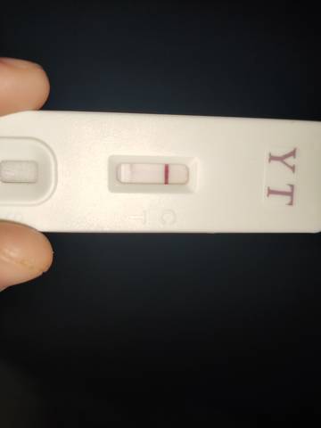 journal_insert_pic_1683402901