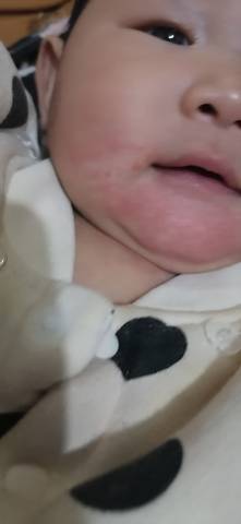 journal_insert_pic_1675636820