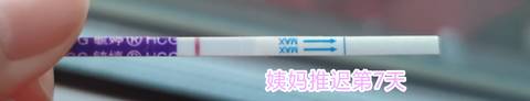 journal_insert_pic_1687522409