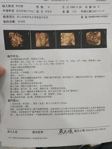 journal_insert_pic_1719474095