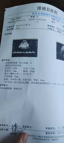 journal_insert_pic_1688760887