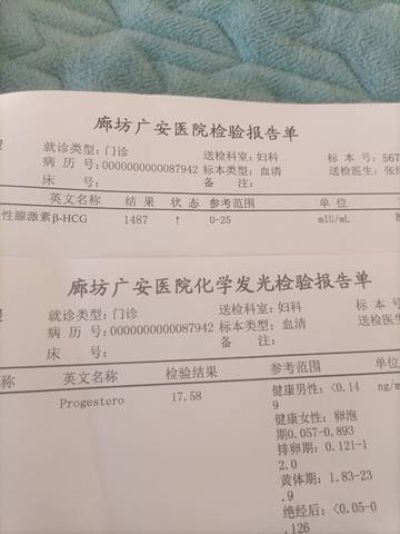 journal_insert_pic_1686994850