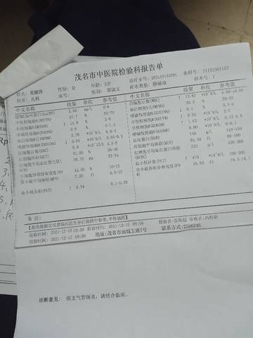 journal_insert_pic_1682697566