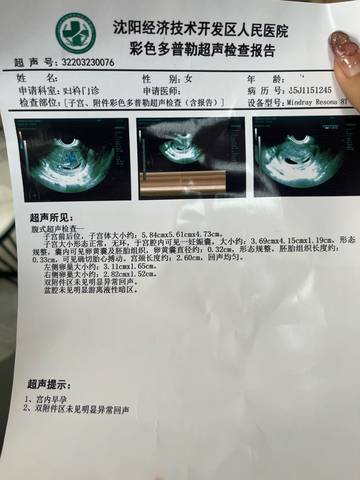 journal_insert_pic_1740926406