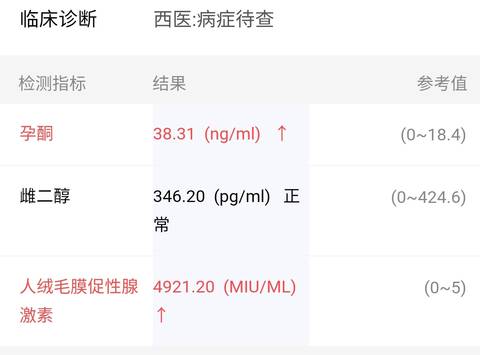 journal_insert_pic_1687575438